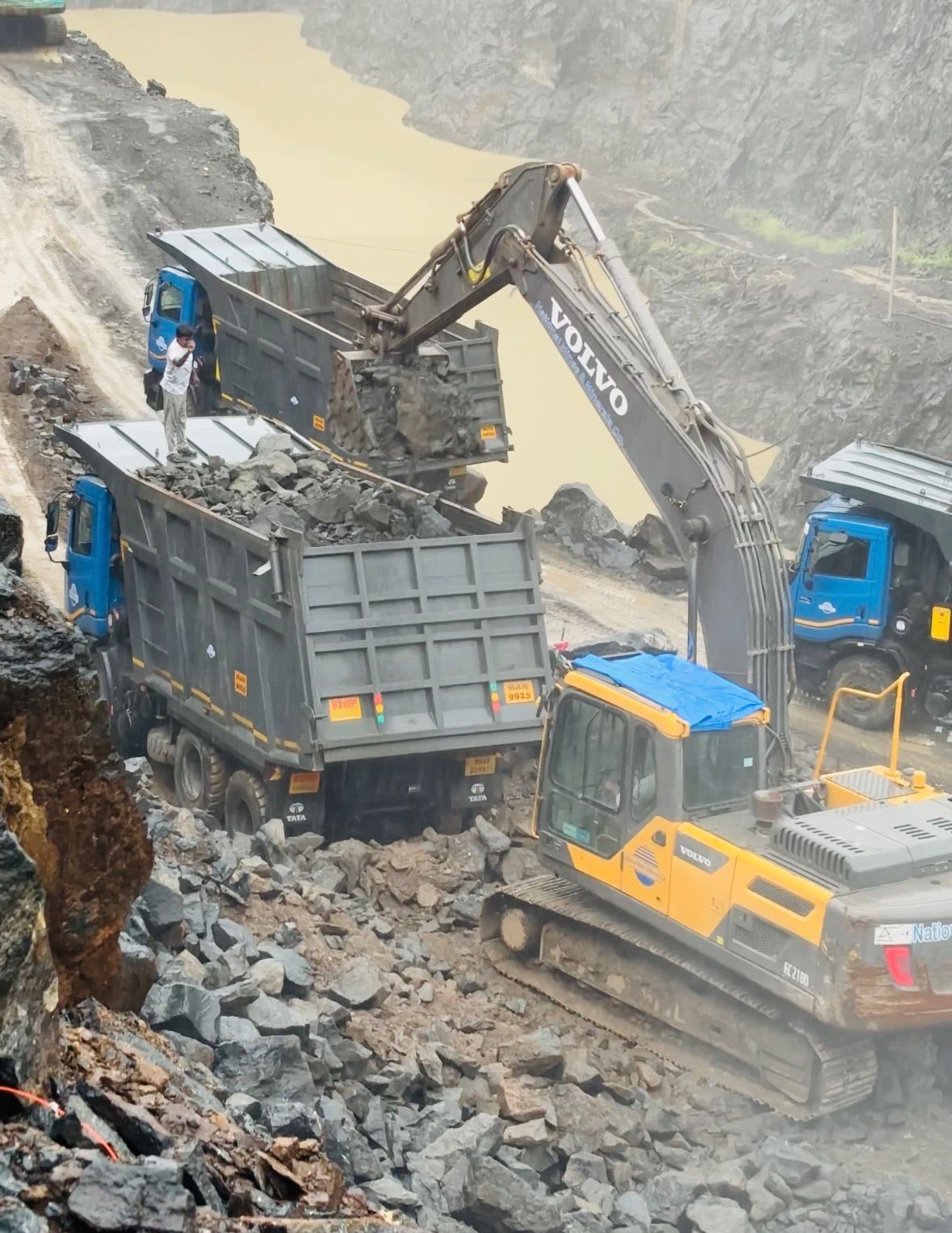 Group of Companies operations photo 6